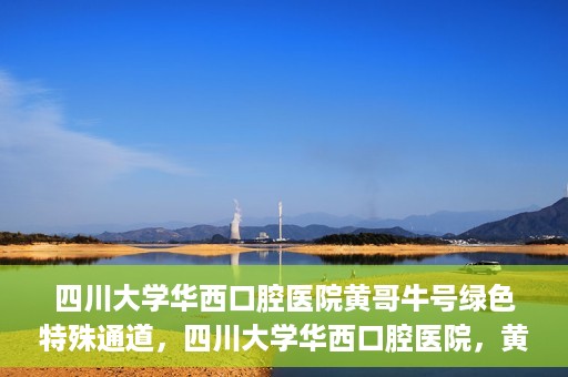 四川大学华西口腔医院黄哥牛号绿色特殊通道，四川大学华西口腔医院，黄哥牛号绿色特殊通道揭秘