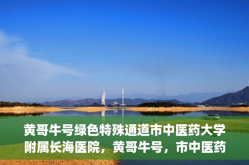 黄哥牛号绿色特殊通道市中医药大学附属长海医院，黄哥牛号，市中医药大学附属长海医院开启绿色特殊通道助力健康事业