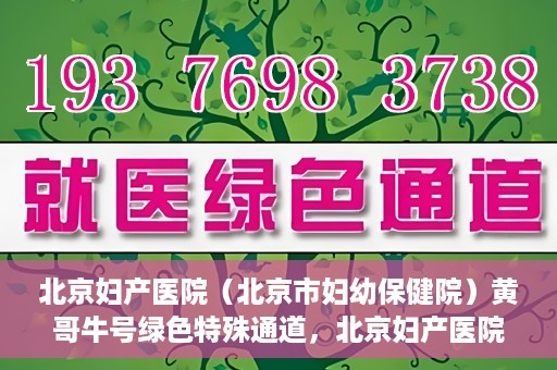 北京妇产医院（北京市妇幼保健院）黄哥牛号绿色特殊通道，北京妇产医院（北京市妇幼保健院）黄哥牛号绿色特殊通道，关爱母婴健康的新路径