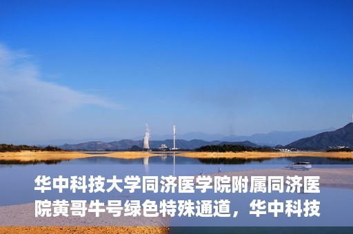 华中科技大学同济医学院附属同济医院黄哥牛号绿色特殊通道，华中科技大学同济医院黄哥牛号绿色特殊通道揭秘