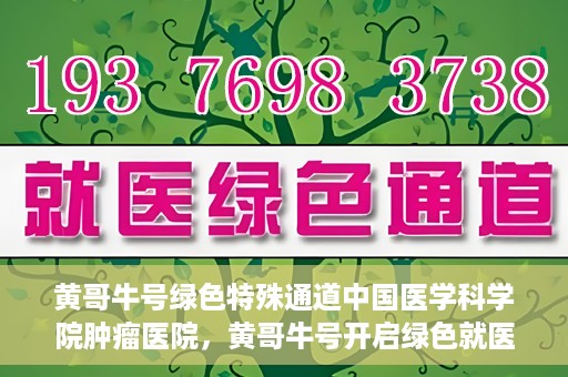 黄哥牛号绿色特殊通道中国医学科学院肿瘤医院，黄哥牛号开启绿色就医通道，中国医学科学院肿瘤医院专注诊疗新篇章