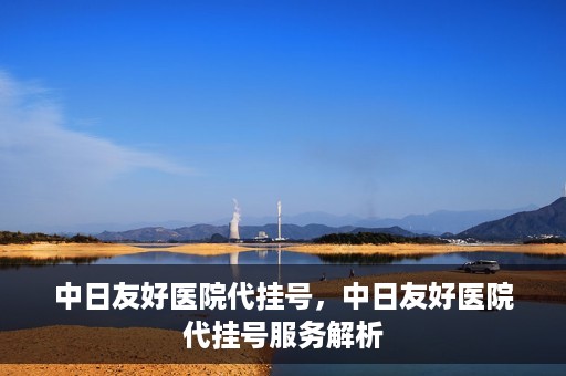 中日友好医院代挂号，中日友好医院代挂号服务解析