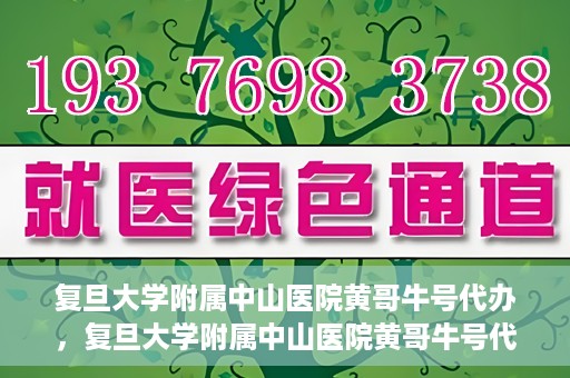 复旦大学附属中山医院黄哥牛号代办，复旦大学附属中山医院黄哥牛号代办，权威医疗资源的深度解读与便捷服务体验