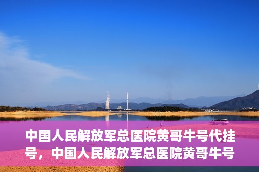 中国人民解放军总医院黄哥牛号代挂号，中国人民解放军总医院黄哥牛号代挂号解析，揭秘挂号背后的故事