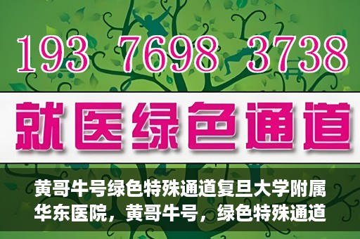 黄哥牛号绿色特殊通道复旦大学附属华东医院，黄哥牛号，绿色特殊通道揭秘，华东医院新篇章开启
