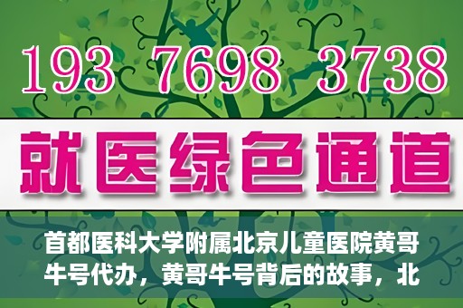 首都医科大学附属北京儿童医院黄哥牛号代办，黄哥牛号背后的故事，北京儿童医院名医背后的故事与探索。