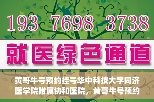 黄哥牛号预约挂号华中科技大学同济医学院附属协和医院，黄哥牛号预约挂号，华中科技大学同济医学院附属协和医院就医新体验