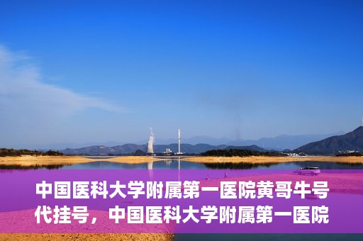 中国医科大学附属第一医院黄哥牛号代挂号，中国医科大学附属第一医院黄哥牛号代挂号服务详解