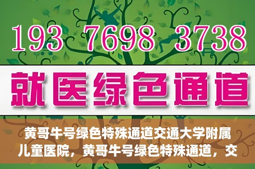 黄哥牛号绿色特殊通道交通大学附属儿童医院，黄哥牛号绿色特殊通道，交通大学附属儿童医院的探索与实践