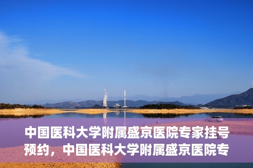 中国医科大学附属盛京医院专家挂号预约，中国医科大学附属盛京医院专家挂号预约攻略，一站式预约服务解析
