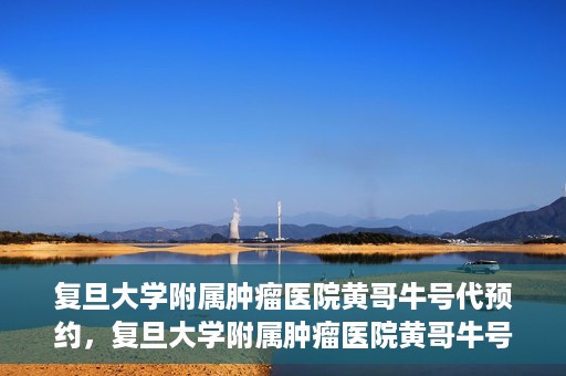 复旦大学附属肿瘤医院黄哥牛号代预约，复旦大学附属肿瘤医院黄哥牛号预约服务解析