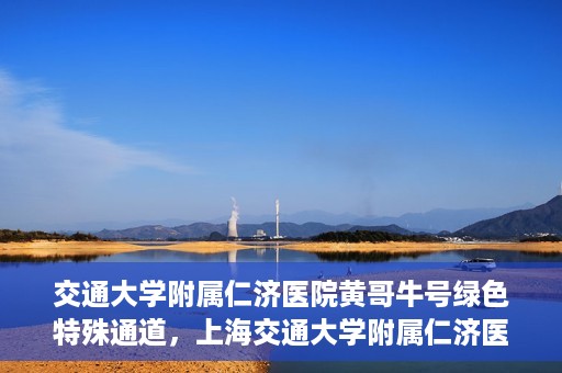 交通大学附属仁济医院黄哥牛号绿色特殊通道，上海交通大学附属仁济医院黄哥牛号绿色就医特殊通道解析