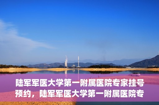 陆军军医大学第一附属医院专家挂号预约，陆军军医大学第一附属医院专家挂号预约攻略解析