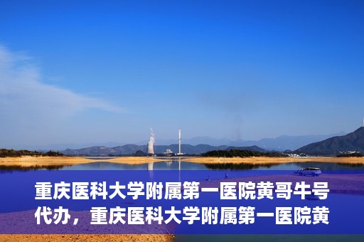 重庆医科大学附属第一医院黄哥牛号代办，重庆医科大学附属第一医院黄哥牛号代办服务详解