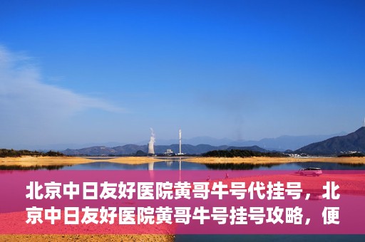 北京中日友好医院黄哥牛号代挂号，北京中日友好医院黄哥牛号挂号攻略，便捷代挂号服务解析