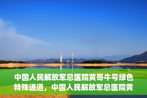 中国人民解放军总医院黄哥牛号绿色特殊通道，中国人民解放军总医院黄哥牛号，绿色特殊通道开启健康之门