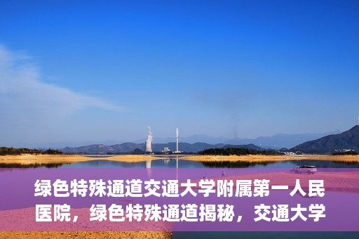 绿色特殊通道交通大学附属第一人民医院，绿色特殊通道揭秘，交通大学附属第一人民医院的卓越医疗之旅