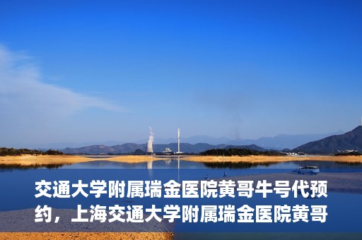 交通大学附属瑞金医院黄哥牛号代预约，上海交通大学附属瑞金医院黄哥牛号预约服务解析