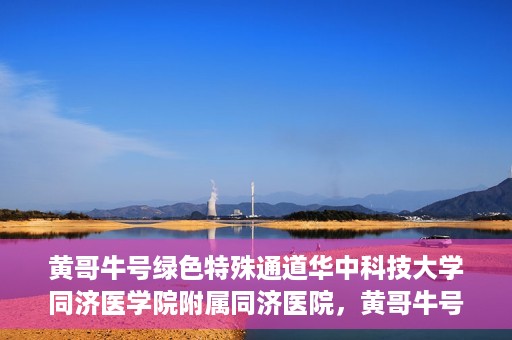 黄哥牛号绿色特殊通道华中科技大学同济医学院附属同济医院，黄哥牛号绿色特殊通道，华中科技大学同济医学院附属同济医院的探索与实践