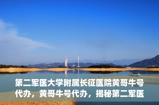 第二军医大学附属长征医院黄哥牛号代办，黄哥牛号代办，揭秘第二军医大学附属长征医院的医疗服务新篇章