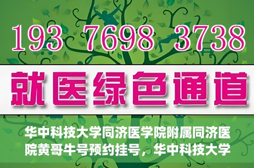 华中科技大学同济医学院附属同济医院黄哥牛号预约挂号，华中科技大学同济医院黄哥牛号预约挂号攻略