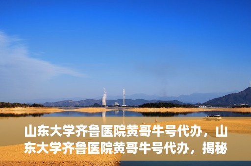 山东大学齐鲁医院黄哥牛号代办，山东大学齐鲁医院黄哥牛号代办，揭秘背后的故事与真相