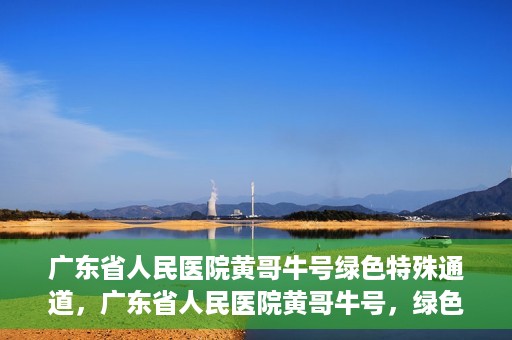 广东省人民医院黄哥牛号绿色特殊通道，广东省人民医院黄哥牛号，绿色特殊通道开启健康之门