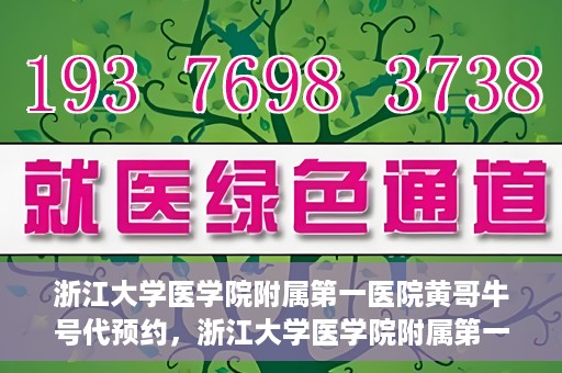 浙江大学医学院附属第一医院黄哥牛号代预约，浙江大学医学院附属第一医院黄哥牛号预约攻略揭秘