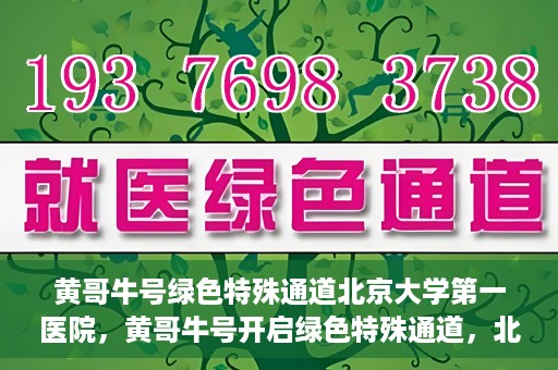 黄哥牛号绿色特殊通道北京大学第一医院，黄哥牛号开启绿色特殊通道，北京大学第一医院全力护航健康之路