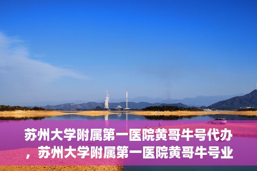 苏州大学附属第一医院黄哥牛号代办，苏州大学附属第一医院黄哥牛号业务代办攻略