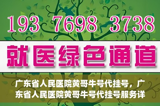 广东省人民医院黄哥牛号代挂号，广东省人民医院黄哥牛号代挂号服务详解