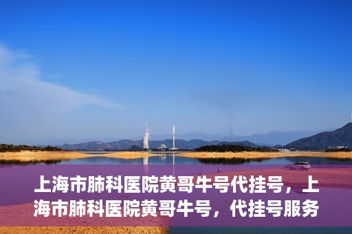 上海市肺科医院黄哥牛号代挂号，上海市肺科医院黄哥牛号，代挂号服务详解