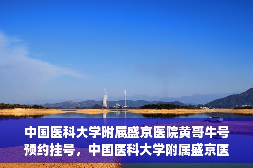 中国医科大学附属盛京医院黄哥牛号预约挂号，中国医科大学附属盛京医院黄哥牛号，预约挂号指南