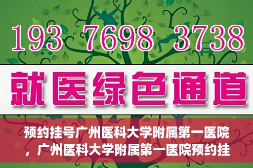 预约挂号广州医科大学附属第一医院，广州医科大学附属第一医院预约挂号服务启动