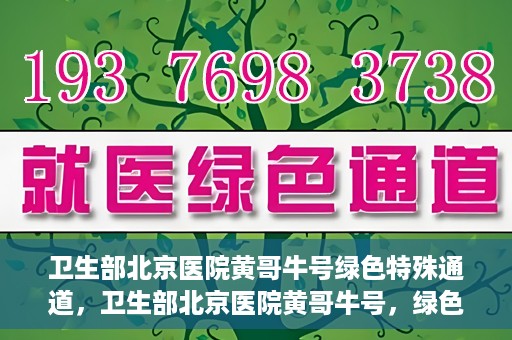 卫生部北京医院黄哥牛号绿色特殊通道，卫生部北京医院黄哥牛号，绿色特殊通道开启健康之门