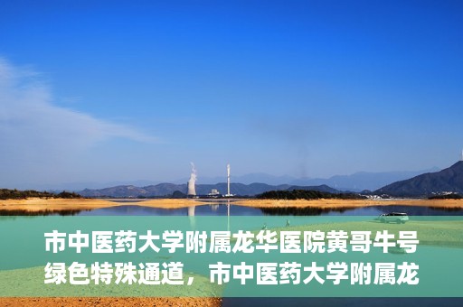 市中医药大学附属龙华医院黄哥牛号绿色特殊通道，市中医药大学附属龙华医院黄哥牛号，绿色特殊通道，健康为民服务