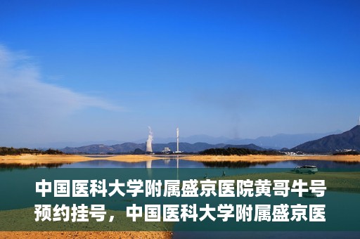中国医科大学附属盛京医院黄哥牛号预约挂号，中国医科大学附属盛京医院黄哥牛号，预约挂号指南