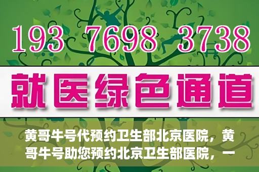 黄哥牛号代预约卫生部北京医院，黄哥牛号助您预约北京卫生部医院，一站式便捷服务开启