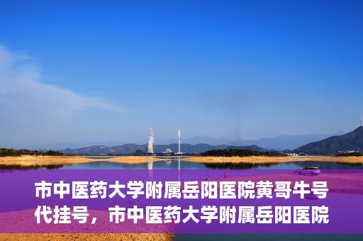 市中医药大学附属岳阳医院黄哥牛号代挂号，市中医药大学附属岳阳医院黄哥牛号代挂号服务解析