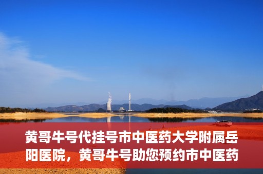 黄哥牛号代挂号市中医药大学附属岳阳医院，黄哥牛号助您预约市中医药大学附属岳阳医院挂号服务