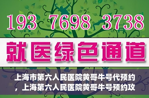 上海市第六人民医院黄哥牛号代预约，上海第六人民医院黄哥牛号预约攻略，轻松解决挂号难题