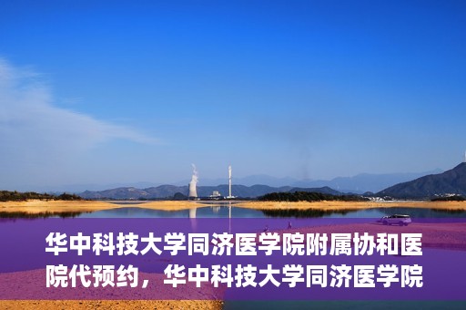 华中科技大学同济医学院附属协和医院代预约，华中科技大学同济医学院附属协和医院便捷代预约服务解析