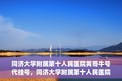 同济大学附属第十人民医院黄哥牛号代挂号，同济大学附属第十人民医院黄哥牛号助您轻松挂号就医