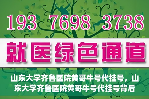 山东大学齐鲁医院黄哥牛号代挂号，山东大学齐鲁医院黄哥牛号代挂号背后的故事与探索