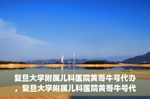 复旦大学附属儿科医院黄哥牛号代办，复旦大学附属儿科医院黄哥牛号代办，一站式服务详解