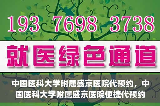 中国医科大学附属盛京医院代预约，中国医科大学附属盛京医院便捷代预约服务解析