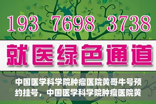 中国医学科学院肿瘤医院黄哥牛号预约挂号，中国医学科学院肿瘤医院黄哥牛号预约挂号攻略，一站式解决您的挂号难题
