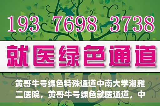 黄哥牛号绿色特殊通道中南大学湘雅二医院，黄哥牛号绿色就医通道，中南大学湘雅二医院特色服务揭秘