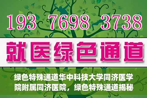 绿色特殊通道华中科技大学同济医学院附属同济医院，绿色特殊通道揭秘，华中科技大学同济医学院附属同济医院的探索之路
