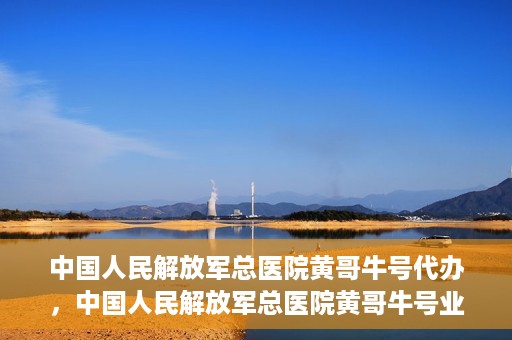 中国人民解放军总医院黄哥牛号代办，中国人民解放军总医院黄哥牛号业务代办揭秘